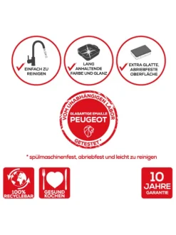 Peugeot Saveurs Appolia^ Hobbyköche & Feinschmecker|Auflaufformen