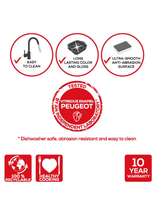 Peugeot Saveurs Appolia^ Auflaufformen
