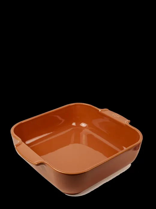 Peugeot Saveurs Appolia^ Auflaufformen