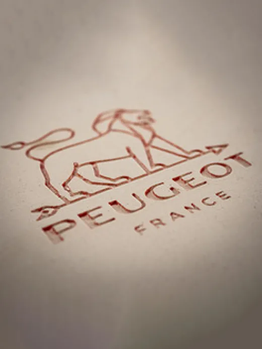 Peugeot Saveurs Appolia^ Auflaufformen
