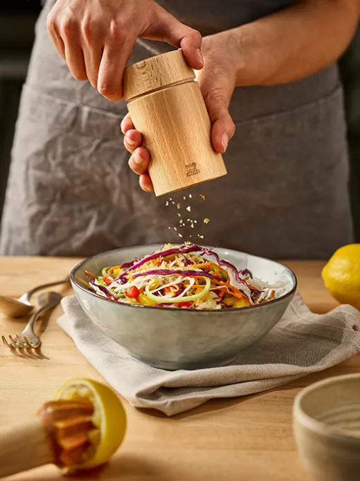 Peugeot Saveurs Naka^ Backfreunde|Gewürzmühlen