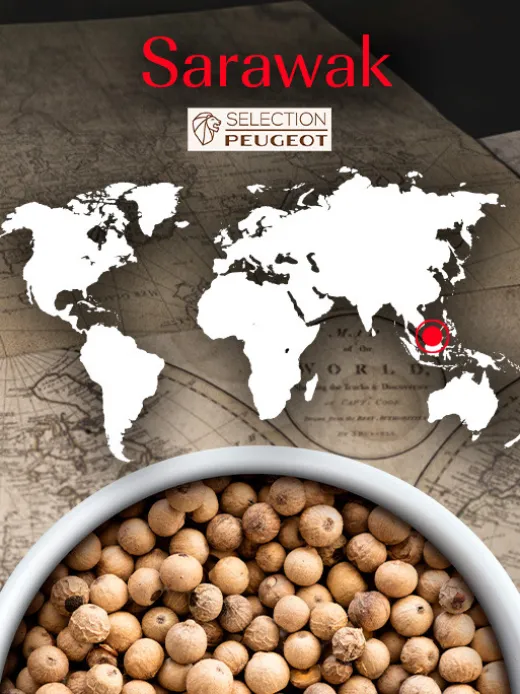 Peugeot Saveurs Sarawak^ Gewürze