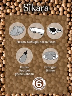 Peugeot Saveurs Sikara^ Gewürze