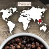 Peugeot Saveurs Tan Hoi^ Gewürze