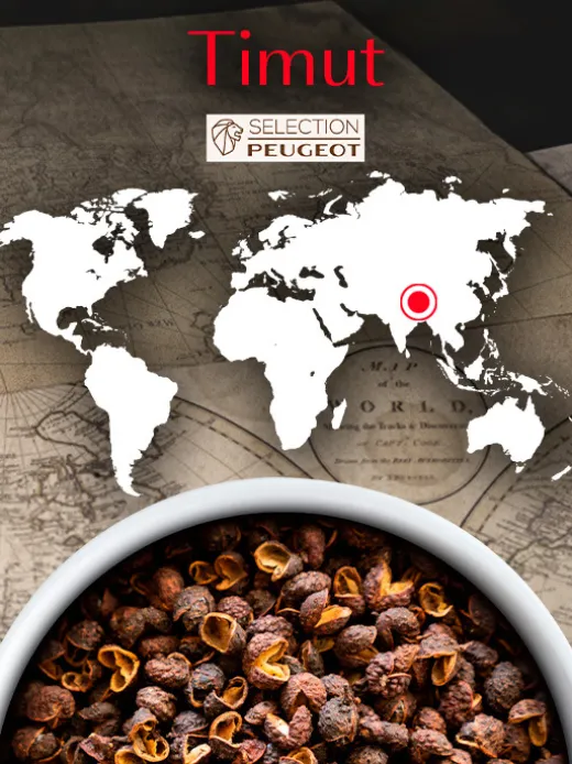 Peugeot Saveurs Timut^ Gewürze