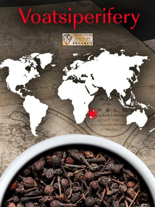 Peugeot Saveurs Voatsiperifery^ Gewürze