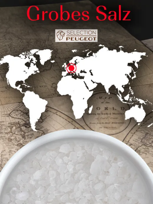 Peugeot Saveurs White Salt^ Gewürze